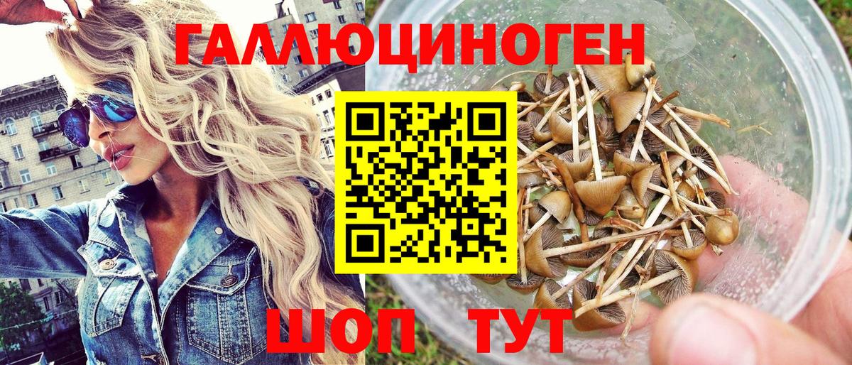 Янаул  Псилоцибиновые грибы MAGIC MUSHROOMS  наркотики  Вход с VPN 